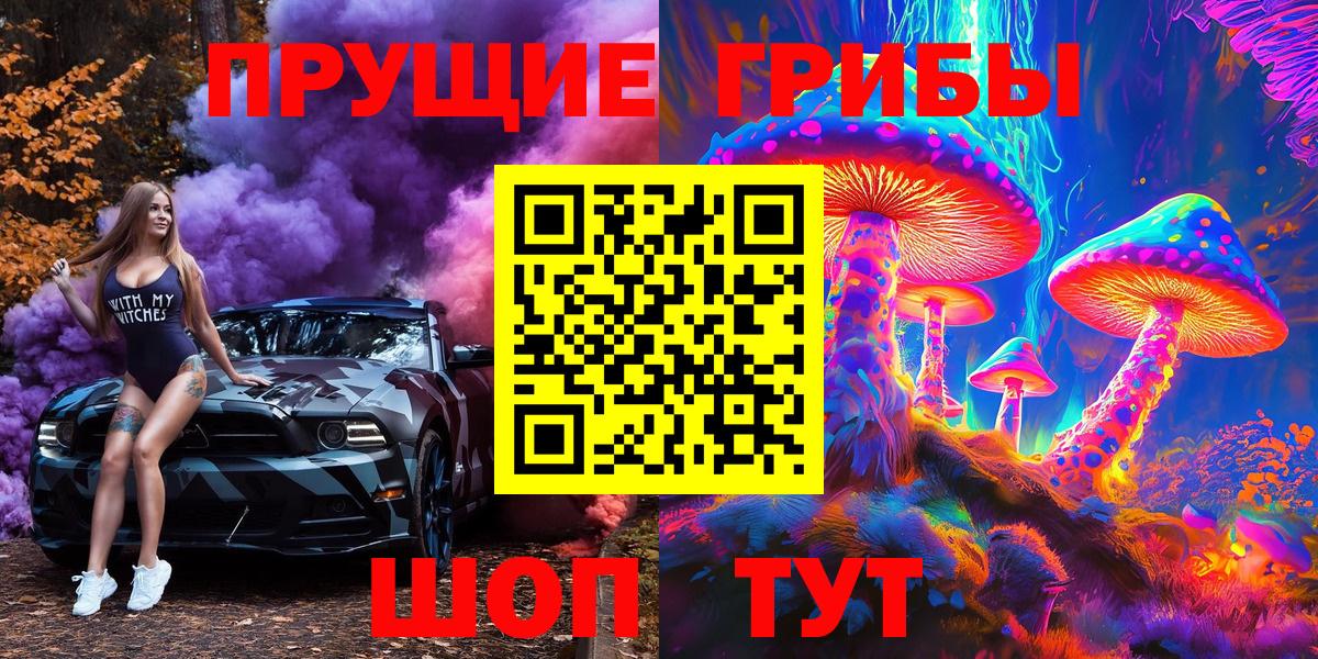 Выборг  Псилоцибиновые грибы Magic Shrooms  купить закладку  Вход с VPN 