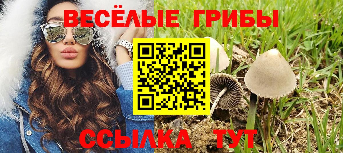 Галлюциногенные грибы ЛСД Выборг